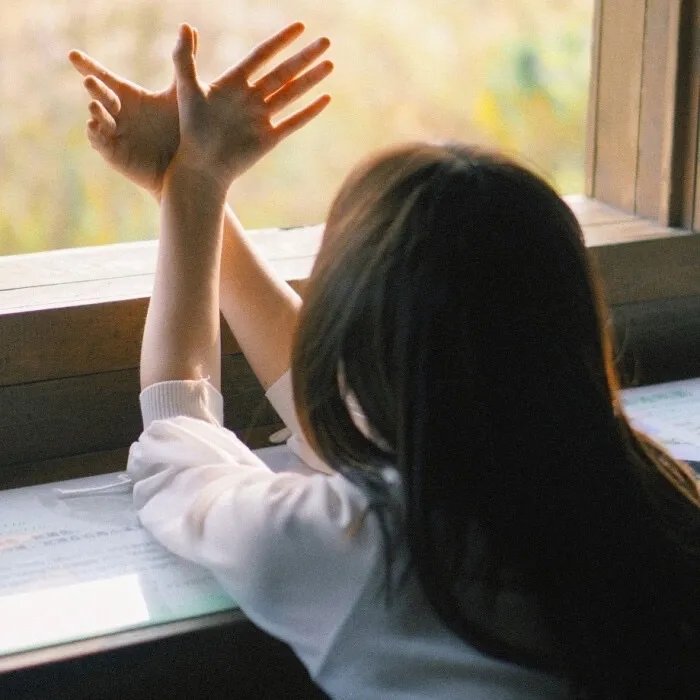 放学后海堤日记