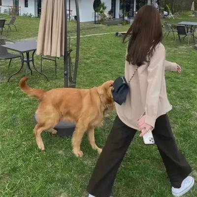 妮可睡不著